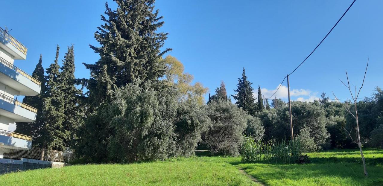 Όμορφο Studio Στην Πόλη Πάτρα Exterior foto